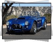 Shelby Cobra, 1965