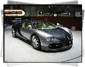 Bugatti Veyron, Srebrny, Czarny, Targi