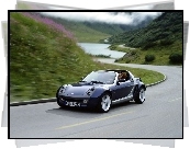 Smart Roadster, Ulica