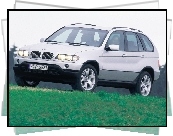 Bmw X5, E53