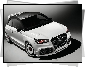 Audi A1 Clubsport, Maska