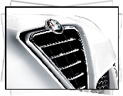 Alfa Romeo Giulietta, Atrapa, Grill