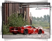 Ferrari FXX, Edo, Alufelgi
