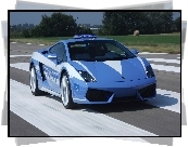 Lamborghini Gallardo LP 560-4, Policja