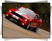 Shelby, Ford Mustang