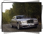 Bentley Brooklands, Reflektory