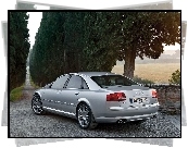 Audi A8, D3