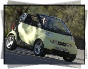 Smart Fortwo, Kolor Pastelowy