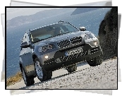 Bmw X5, E70, SUV