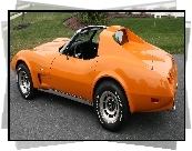 Chevrolet Corvette, Kabriolet, Davids 77