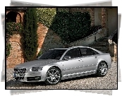 Audi A8, D3