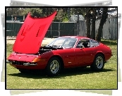 Ferrari Daytona, Otwarta, Maska