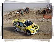 Suzuki SX4, WRC