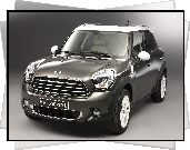 MINI Countryman, Cooper D