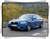 BMW F10, Lewa, Strona, Drzwi