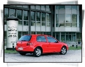 Volkswagen Golf 4, Pomarańczowy