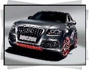 Audi Q5, Concept