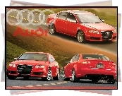 Audi, RS4, Katalog