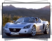 Srebrny, Opel Speedster