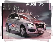 Audi Q5, Mileage, Marathon