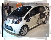 Dealer, Citroen C-Zero