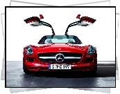 Mercedes Benz SLS, Unoszone, Drzwi