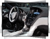 Acura ZDX, Konsola, Panel, Środkowy