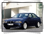 Granatowe, BMW 5