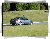 BMW M3, Frozen Gray Series