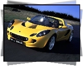 Żółty, Lotus Elise