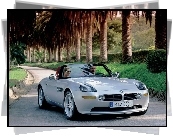 BMW Z8, Palmy