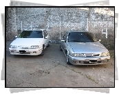 Citroen ZX, Hatchback, Kombi