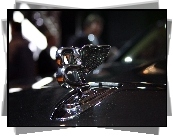Emblemat, Bentley Mulsanne