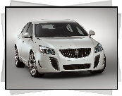 Buick Regal GS, Wloty, Powietrza