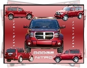 Dodge Nitro, Katalog