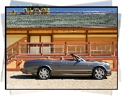 Bentley Azure, Brązowe, Skóry