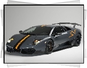 Lamborghini Murcielago SV, Malowanie