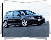 Volkswagen Golf 5, Czarny