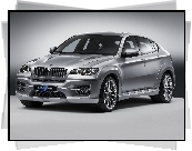 BMW X6, Hartge