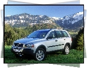 Volvo XC-90, Relingi, Dachowe