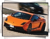 Pomarańczowy, Lamborghini Gallardo