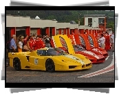 Zlot, Posiadaczy, Ferrari FXX