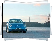 Volkswagen New Beetle