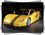 Ascari A10