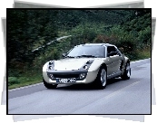 Szary, Smart Roadster