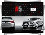 Dealer, Audi A5