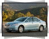 Toyota Camry XLE