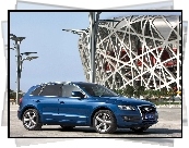 Niebieskie, Audi Q5, SUV