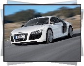 Audi R8, Elementy, Karbonowe