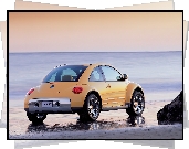 Volkswagen New Beetle